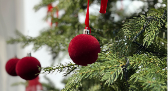 Untitled Design (20)